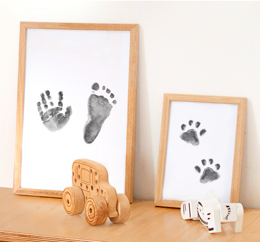 Mürekkep Baskı Anı Kiti